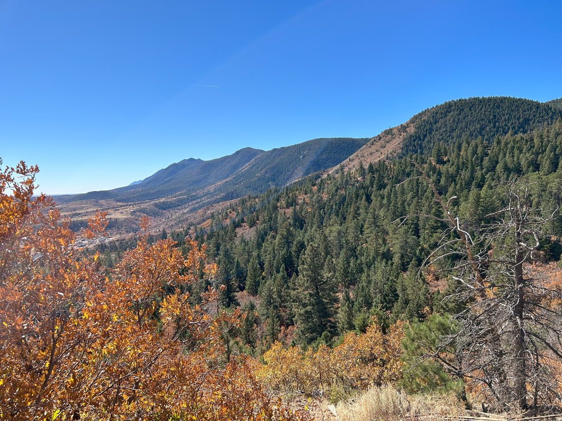 Taking time to RECHARGE!