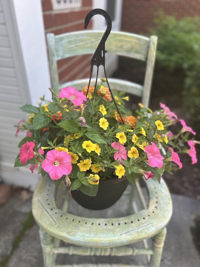 New Life to Old Things