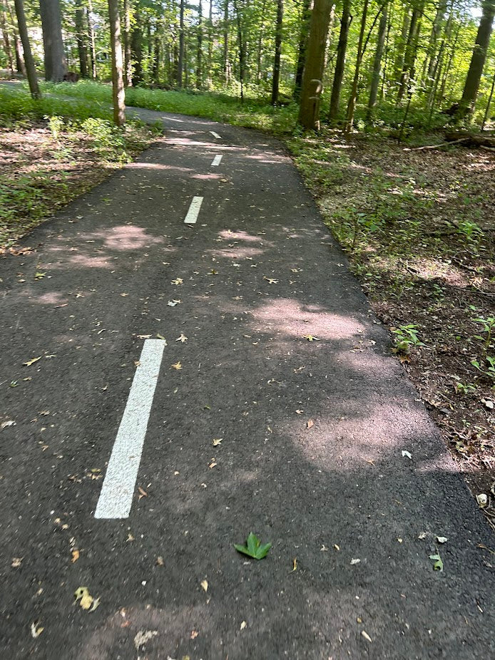 It's Okay to Just Enjoy the Process