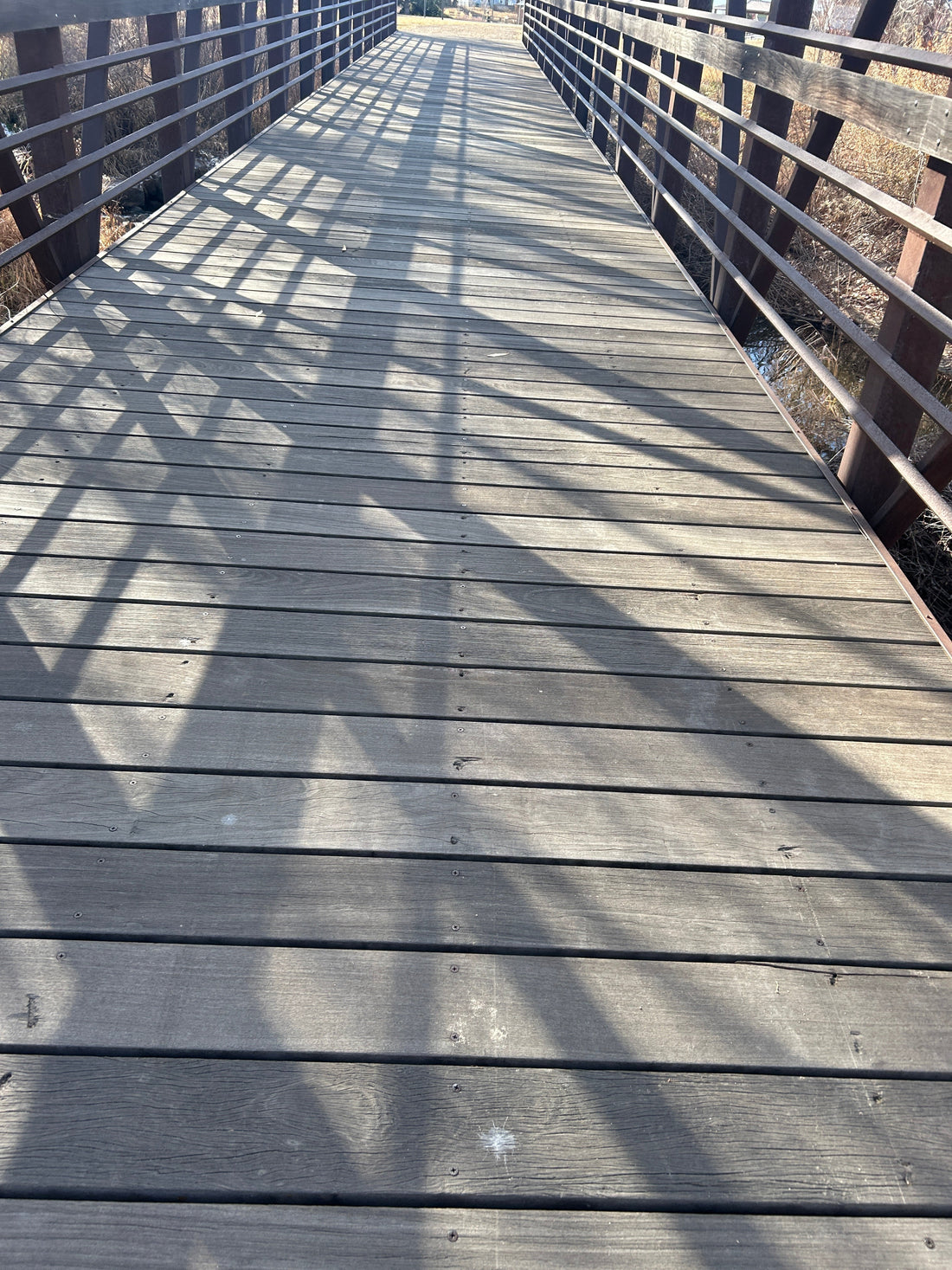 When Your Brain Feels Like a Glitching App