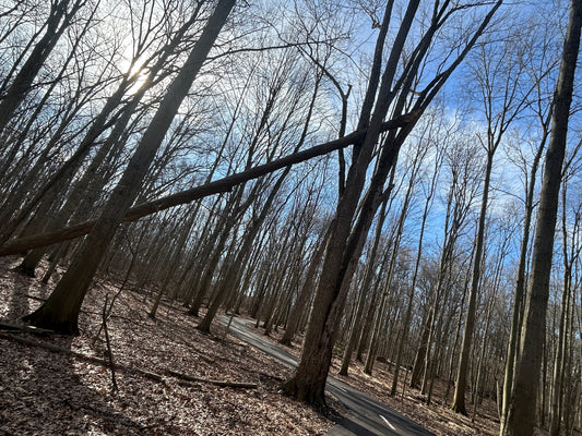 The Quiet Return to the Possibility Loop