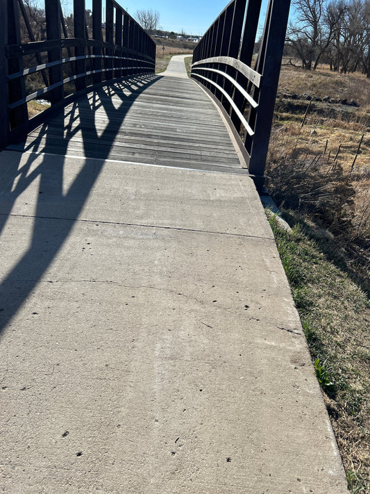 Perseverance: One Meaningful Step at a Time