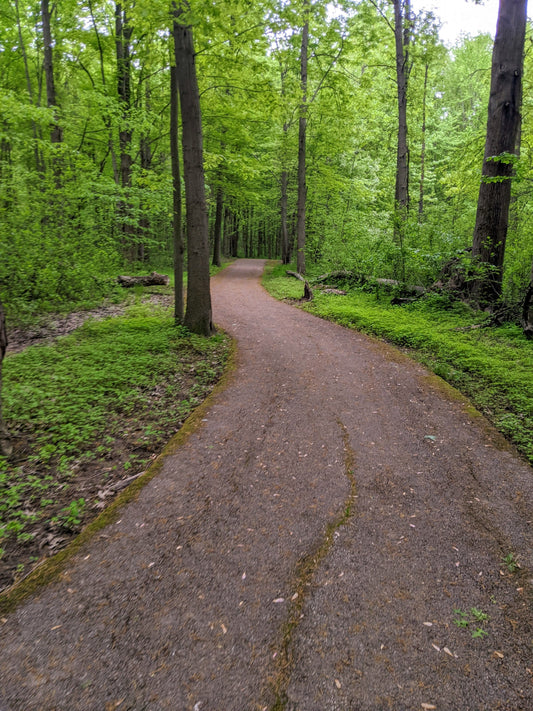 Celebrate the Small Wins: A March Reminder to Honor Your Journey